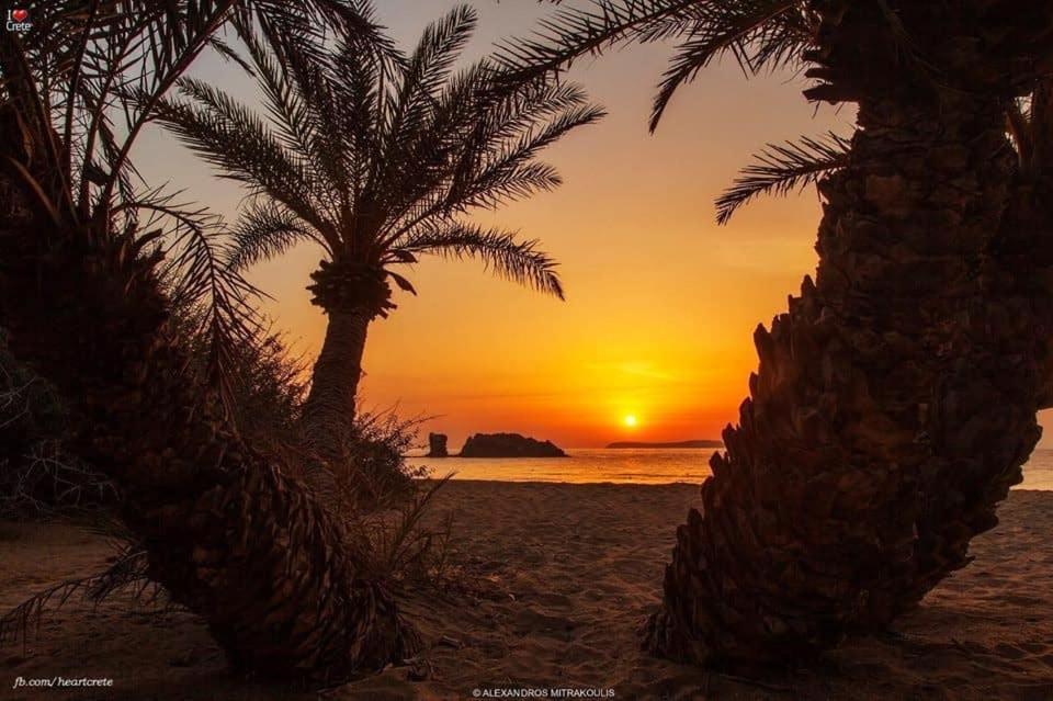 Káto Zákros Villa Sea View Mesa Mpanta المظهر الخارجي الصورة